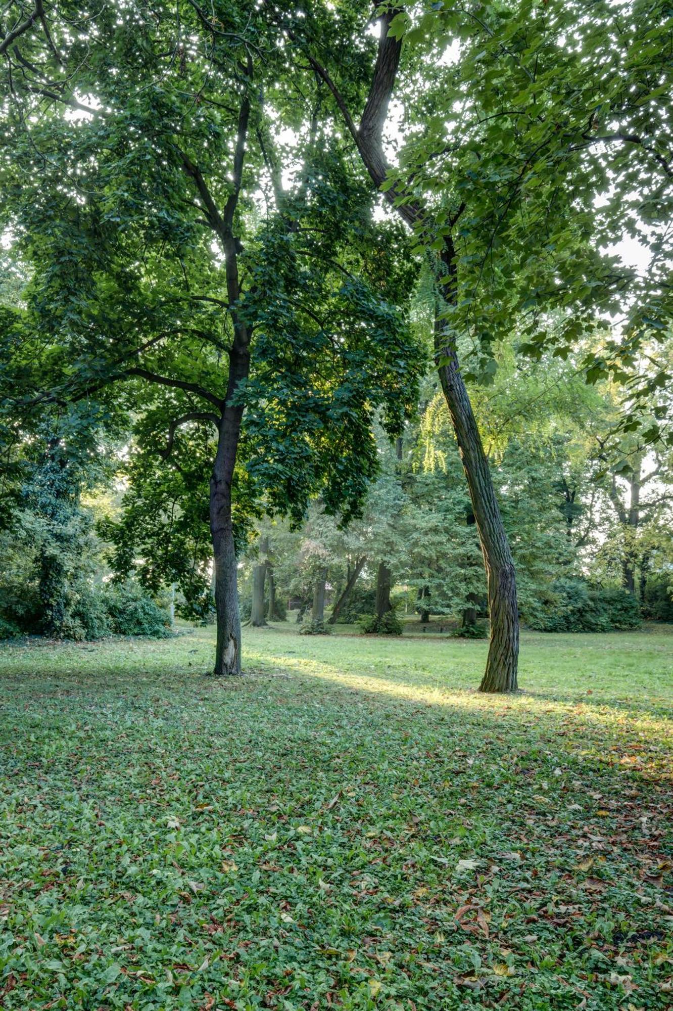 Vila Austerlitz Exteriör bild